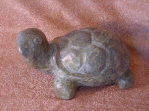 tortoise